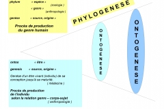 1 Phylogenèse Ontogenèse 1