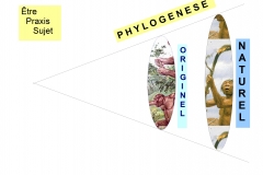 2 Homme Originel Homme Naturel 1