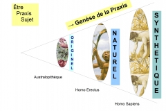 6 Originel Naturel Synthétique 1