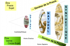 6 Originel Naturel Synthétique 2 PSYCHE