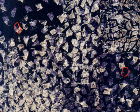 Fragments Posthume 2Eloge de la Conjugalité  (inédits – 2008 )