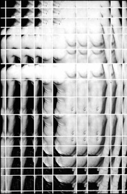 Fragments Posthume 4Notes sur le Corps-Sujet  (inédits – 2008 )